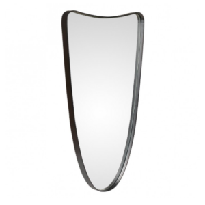 Miroir Darwin