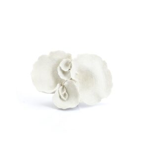 Agari - White
