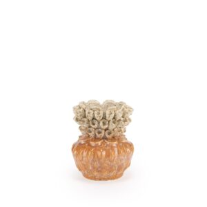 Vase Ciro  17.5 x 21 cm